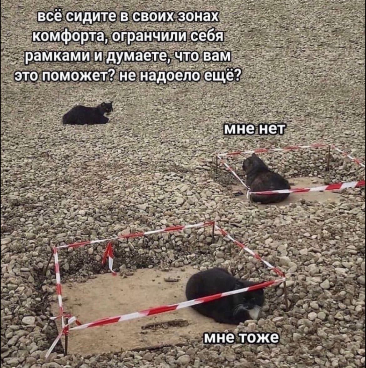 всё сидите в своих зонах комфорта, ограничили себя рамками и думаете, что вам это поможет? не надоело ещё?
мне нет
мне тоже