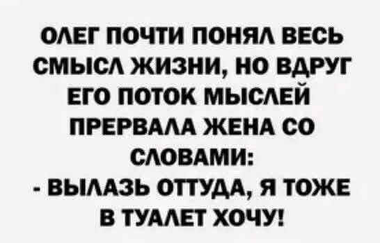 Олег почти понял весь смысл жизни, но вдруг его поток мыслей прервала жена со словами: - Вылазь оттуда, я тоже в туалет хочу!