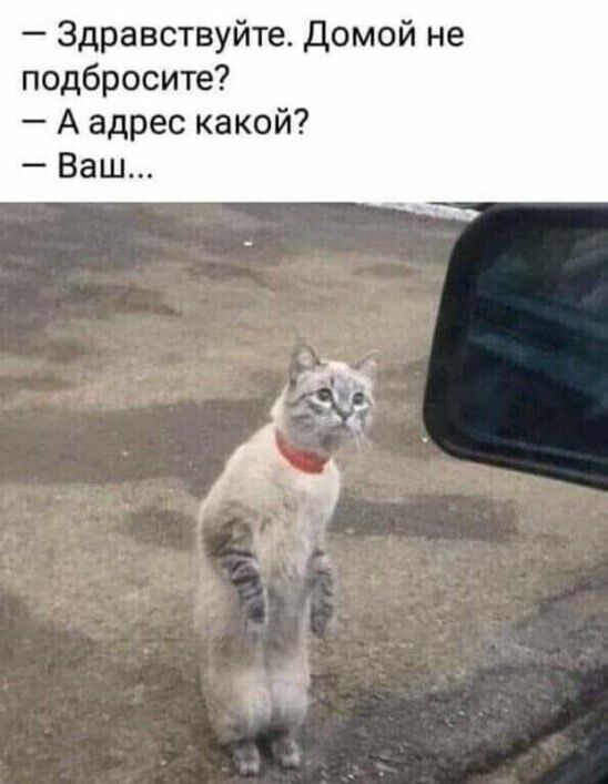 — Здравствуйте. Домой не подбросите? — А адрес какой? — Ваш...