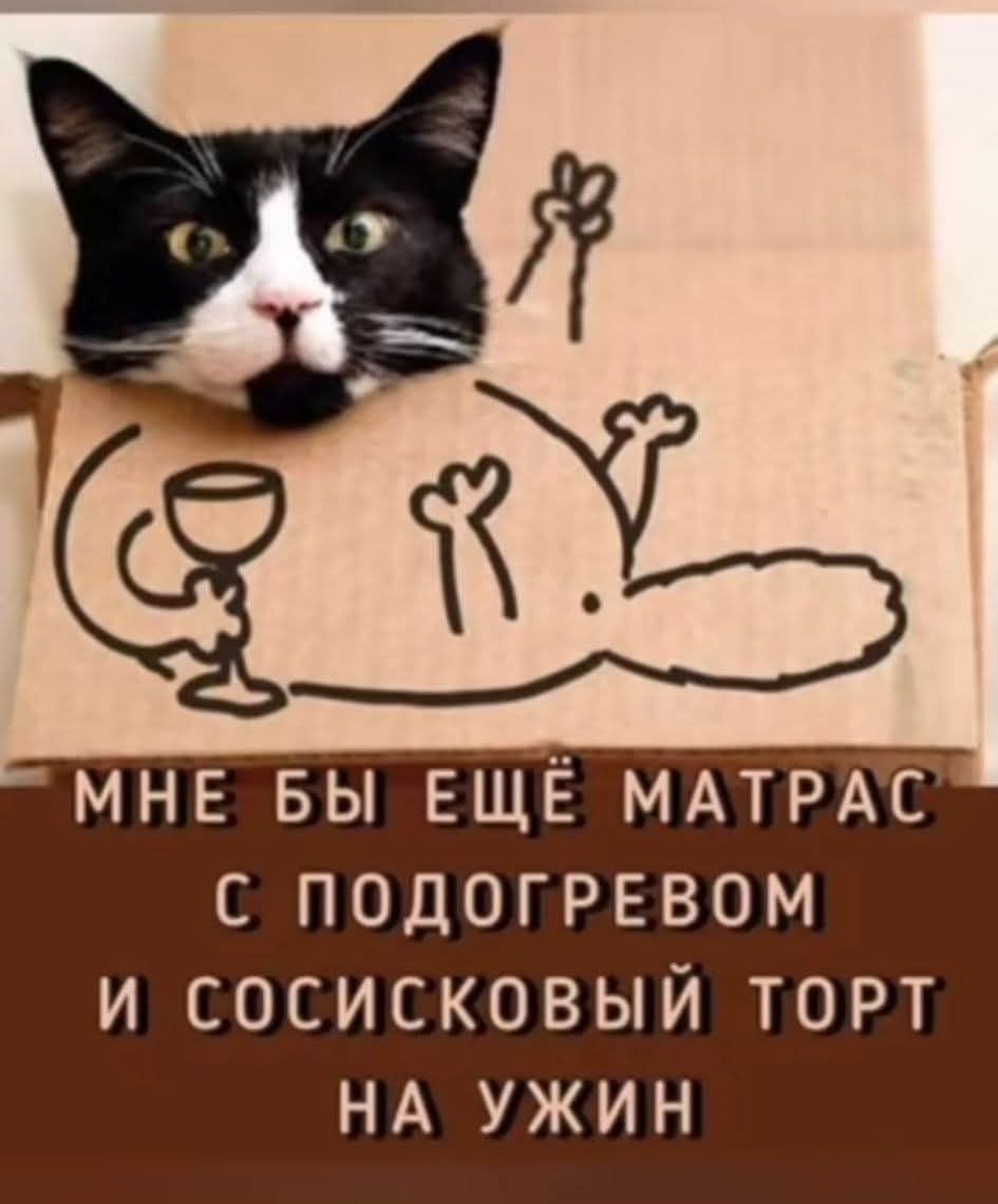 МНЕ БЫ ЕЩЕ МАТРАС С ПОДОГРЕВОМ И СОСИСКОВЫЙ ТОРТ НА УЖИН