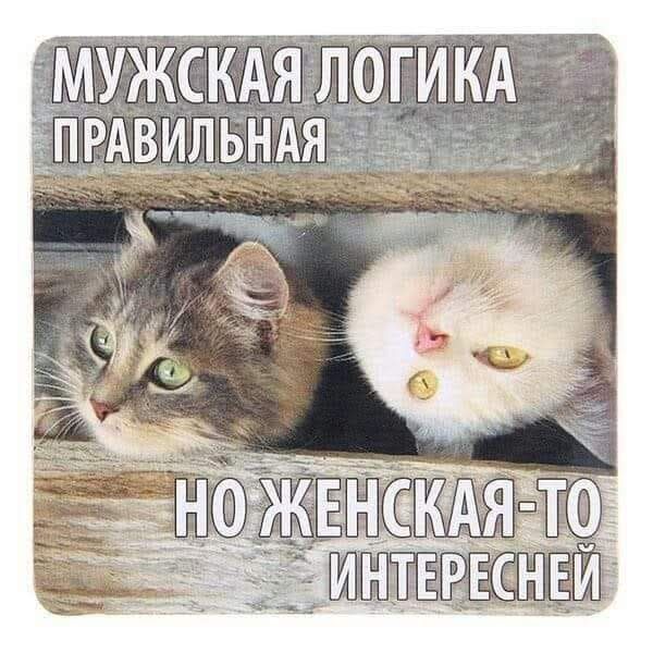 МУЖСКАЯ ЛОГИКА ПРАВИЛЬНАЯ НО ЖЕНСКАЯ-ТО ИНТЕРЕСНЕЙ