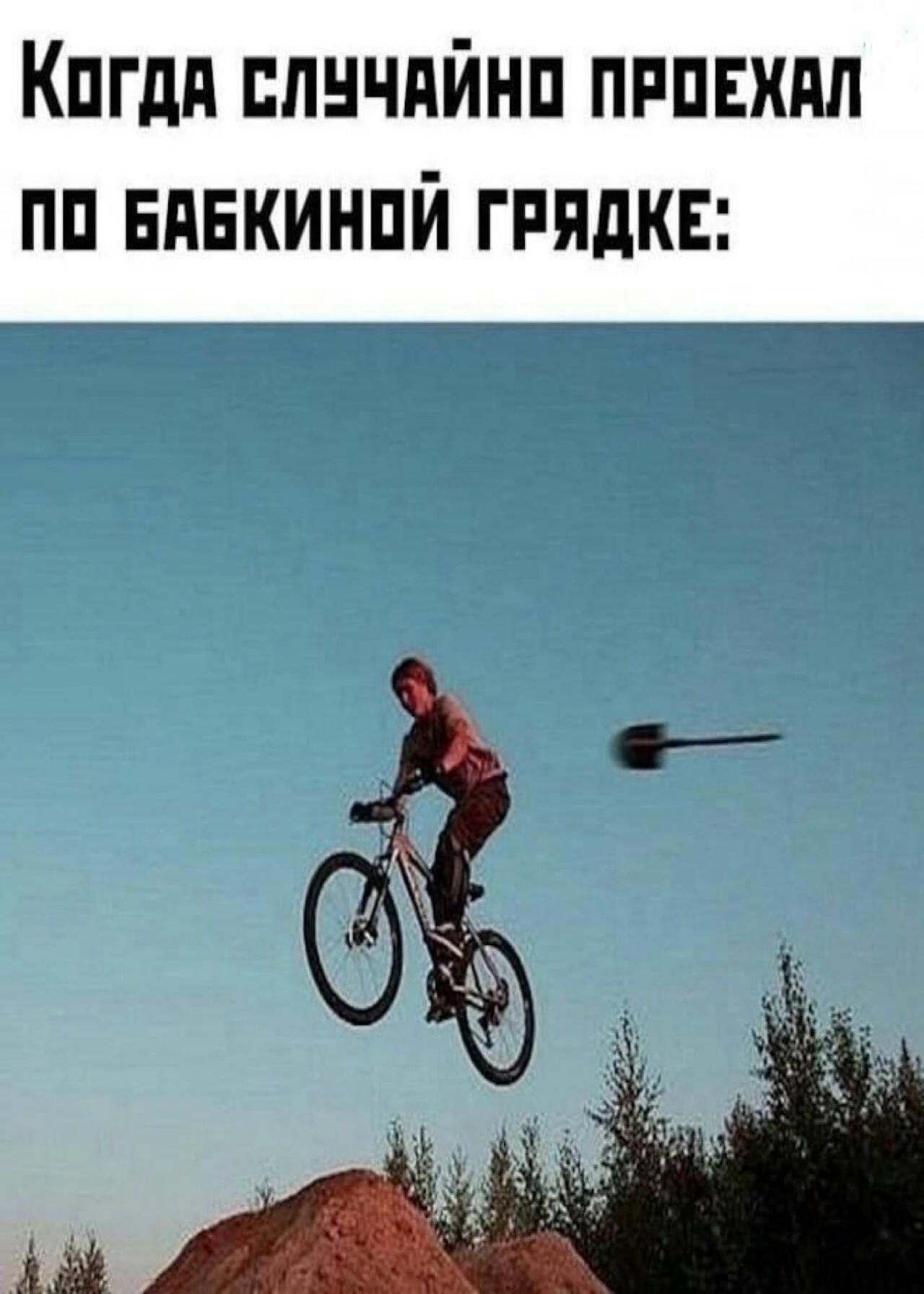 Когда случайно проехал по бабкиной грядке: