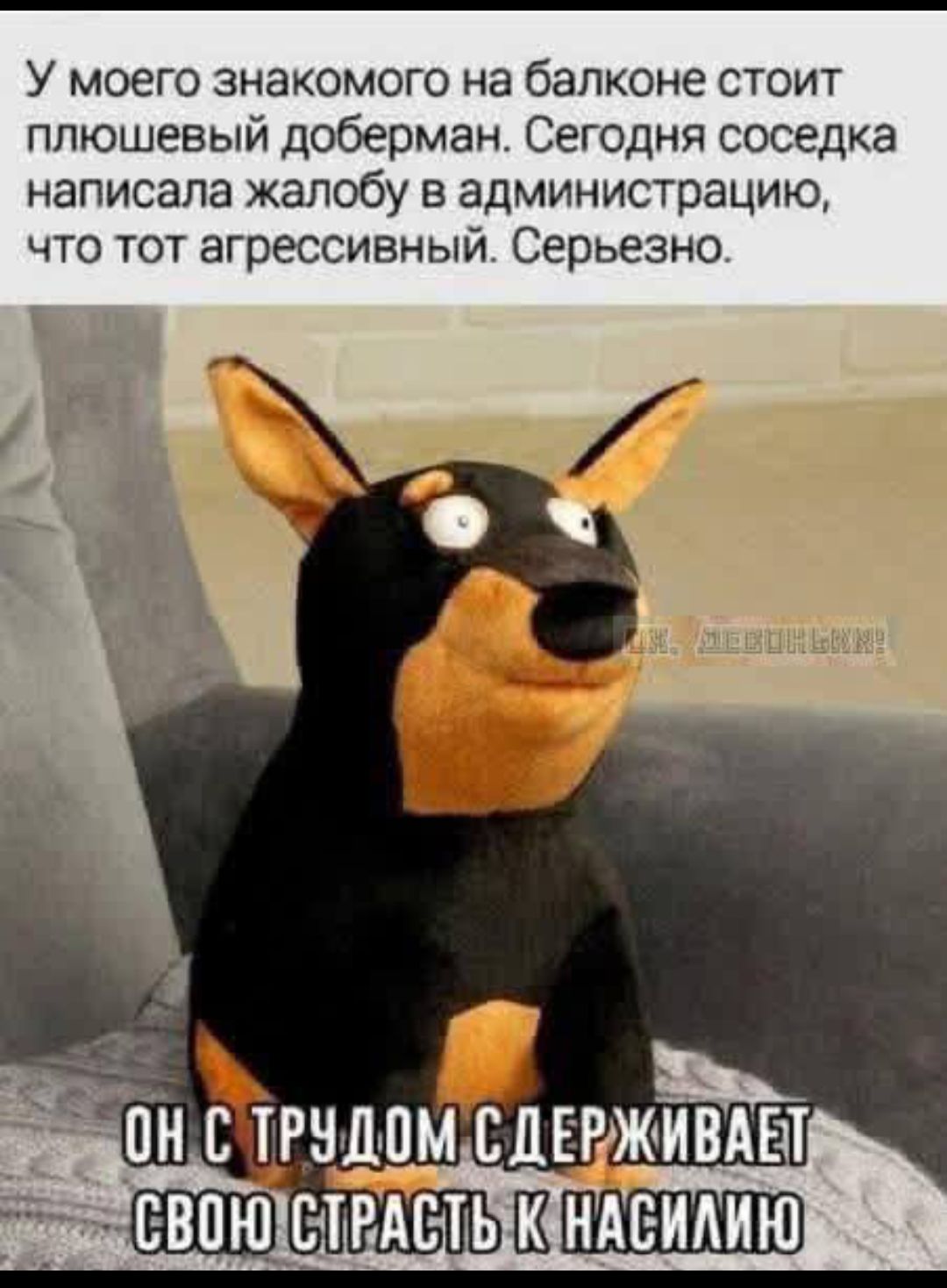У моего знакомого на балконе стоит плюшевый доберман. Сегодня соседка написала жалобу в администрацию, что тот агрессивный. Серьезно.

ОН С ТРУДОМ СДЕРЖИВАЕТ СВОЮ СТРАСТЬ К НАСИЛИЮ