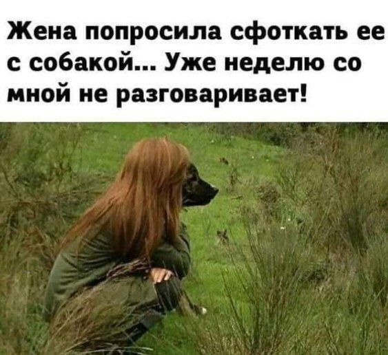 Жена попросила сфоткать ее с собакой... Уже неделю со мной не разговаривает!