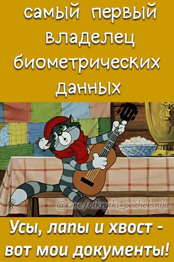 самый первый владелец биометрических данных Усы, лапы и хвост - вот мои документы!