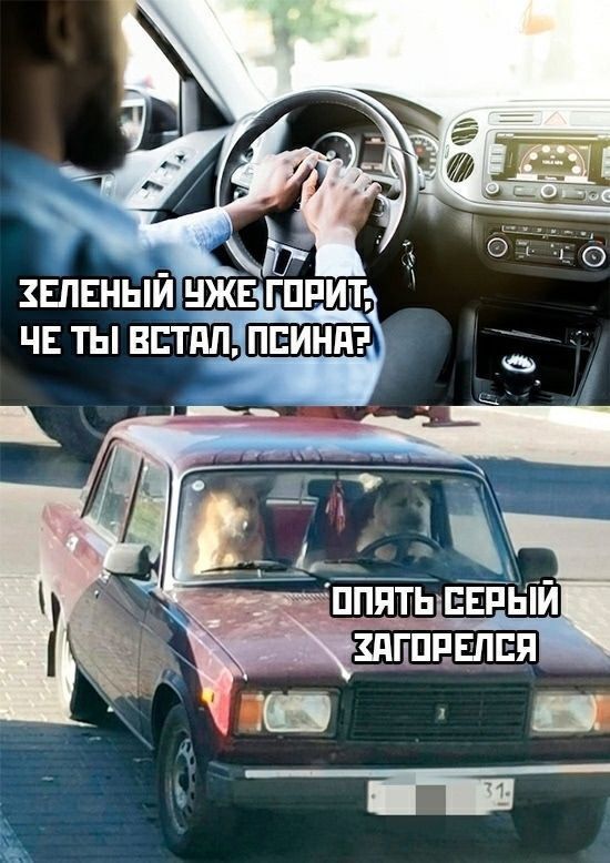 ЗЕЛЕНЫЙ УЖЕ ГОРИТ, ЧЕ ТЫ ВСТАЛ, ПСИНА? ОПЯТЬ СЕРЫЙ ЗАГОРЕЛСЯ