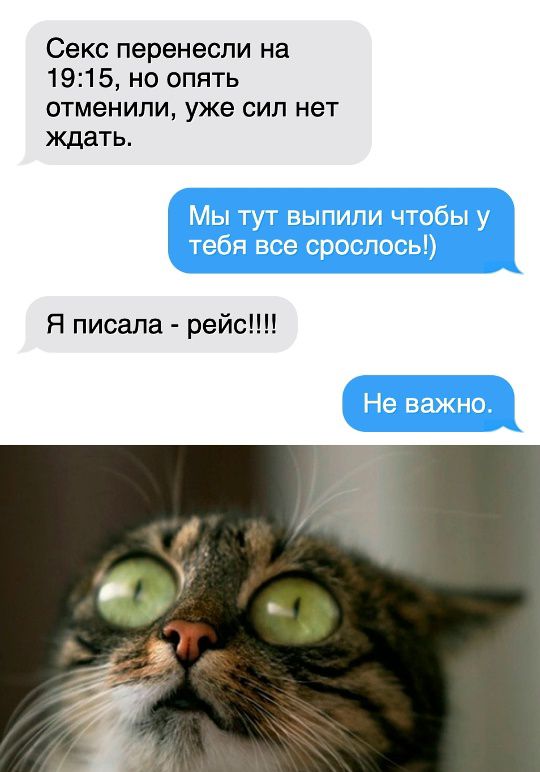 Секс перенесли на 19:15, но опять отменили, уже сил нет ждать.
Мы тут выпили чтобы у тебя все срослось!)
Я писала - рейс!!!!
Не важно.