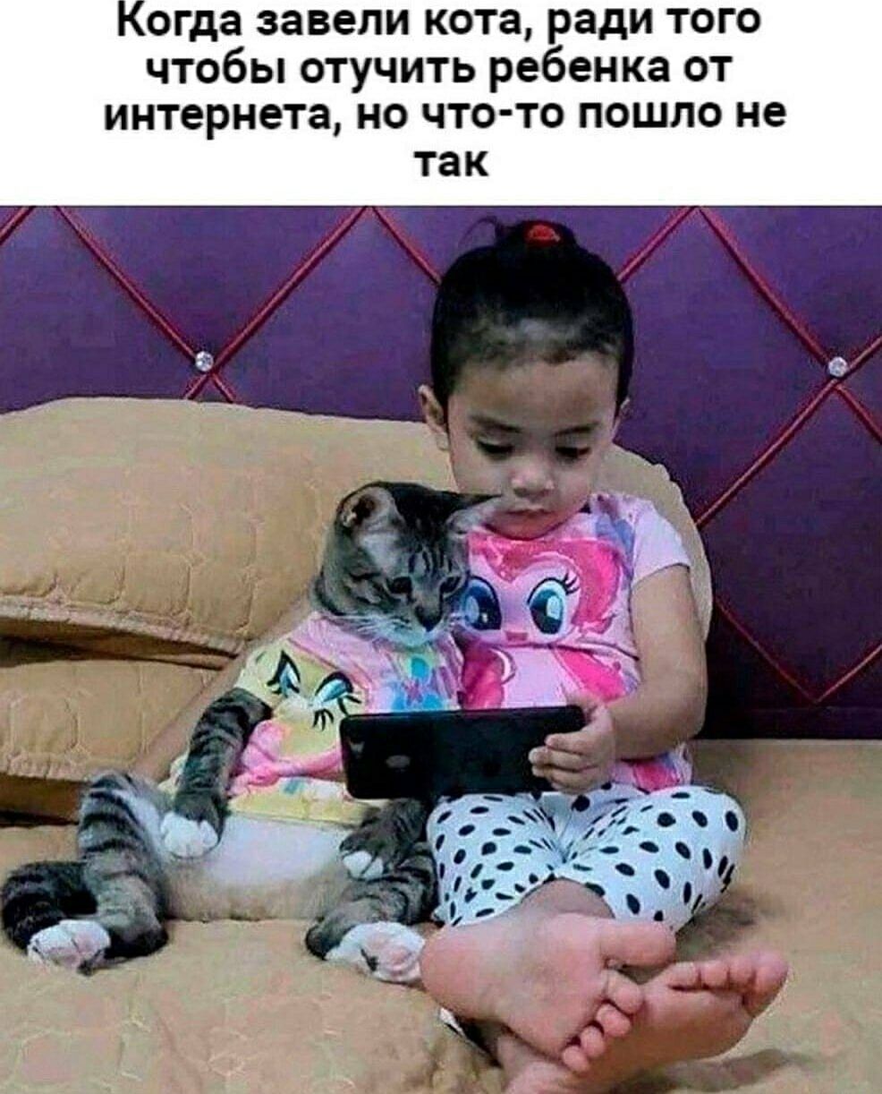Когда завели кота, ради того чтобы отвлечь ребенка от интернета, но что-то пошло не так