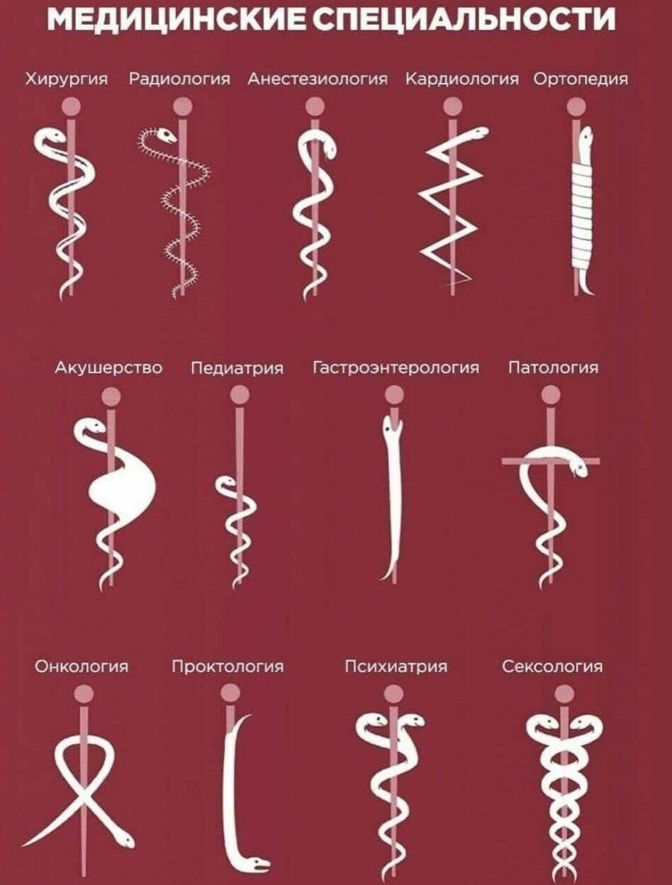 МЕДИЦИНСКИЕ СПЕЦИАЛЬНОСТИ\nХирургия\nРадиология\nАнестезиология\nКардиология\nОртопедия\nАкушерство\nПедиатрия\nГастроэнтерология\nПатология\nОнкология\nПроктология\nПсихиатрия\nСексология