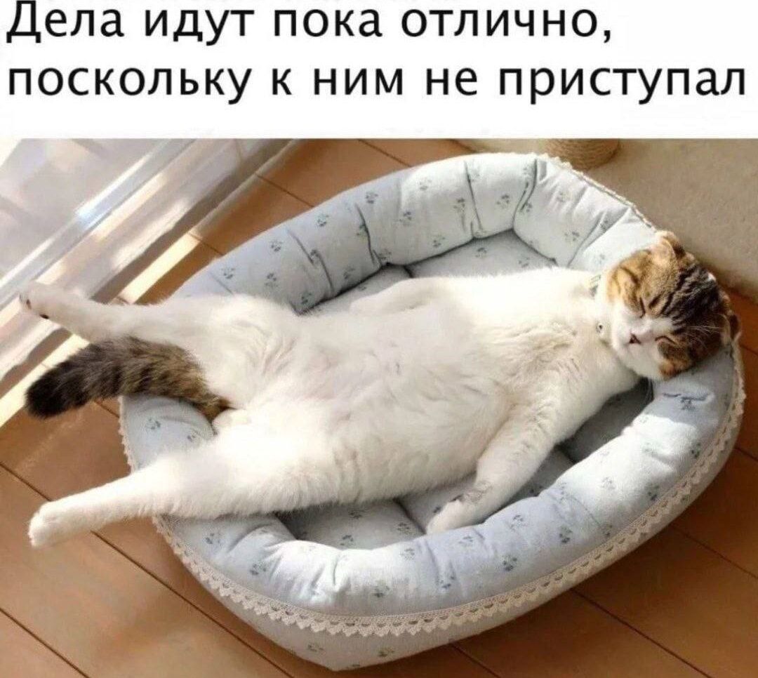 Дела идут пока отлично, потому к ним не приступал