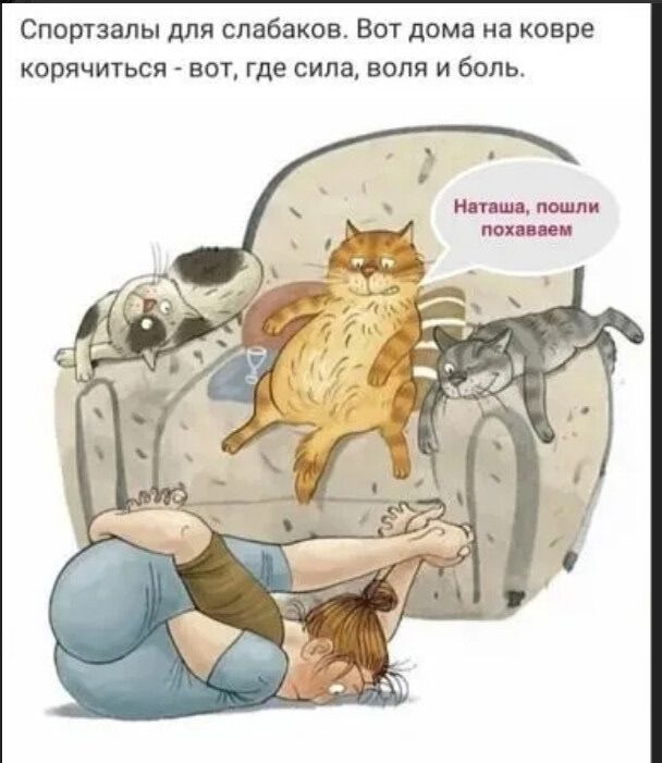 Спортзалы для слабаков. Вот дома на ковре корчаться - вот, где сила, воля и боль. Наташа, пошли похаваем