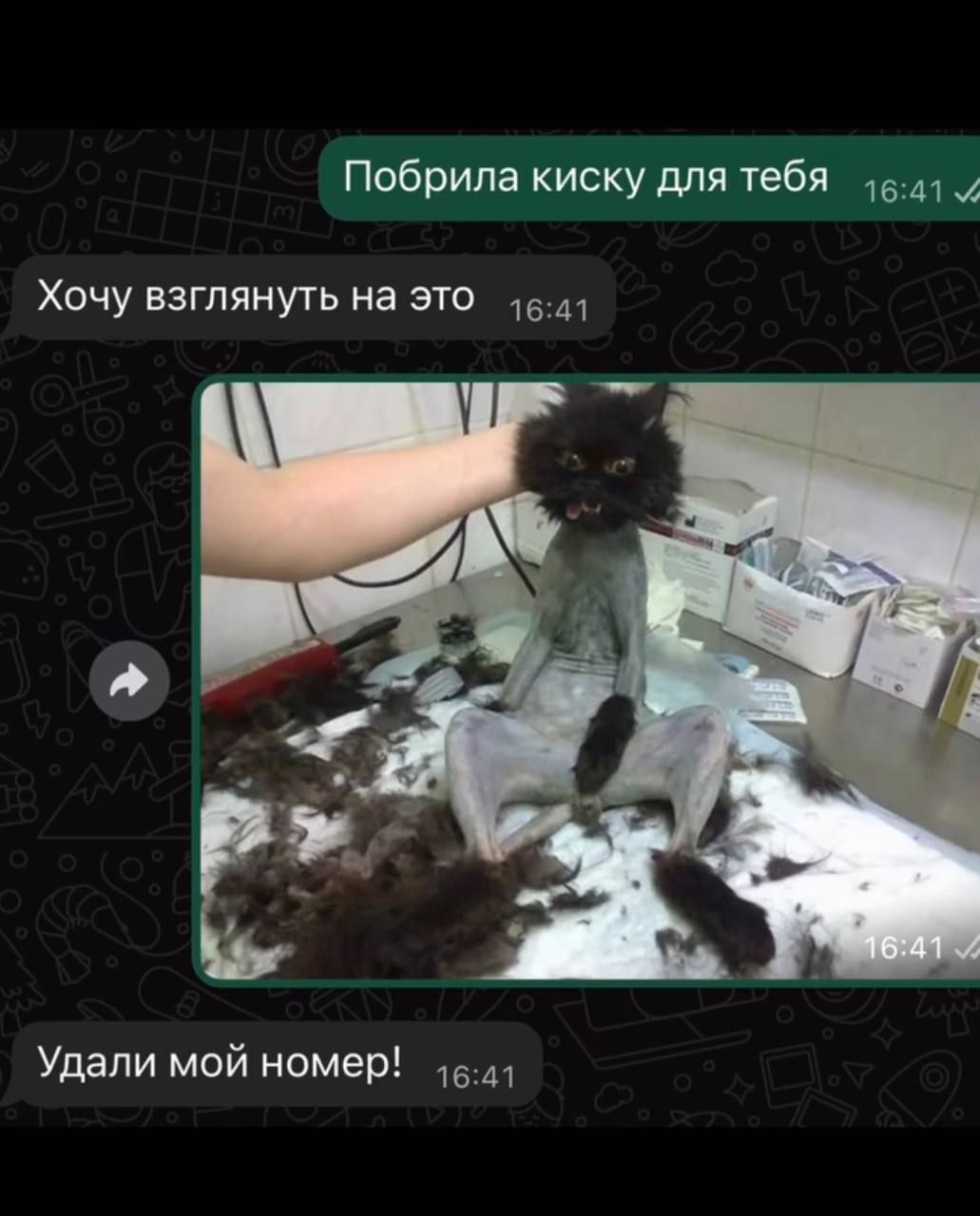 Побрила киску для тебя
Хочу взглянуть на это
[изображение]
Удали мой номер!