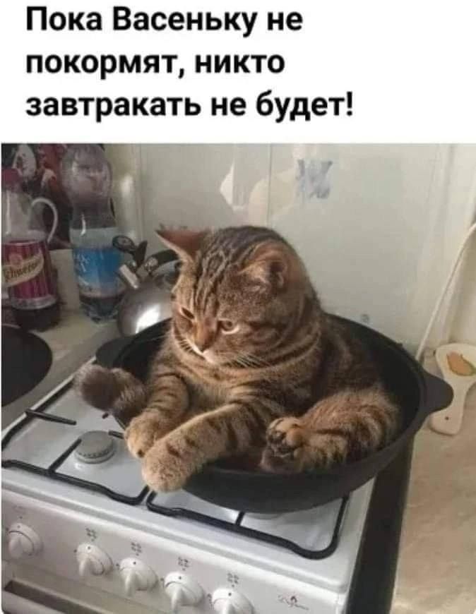 Пока Васеньку не покормят, никто завтраакать не будет!