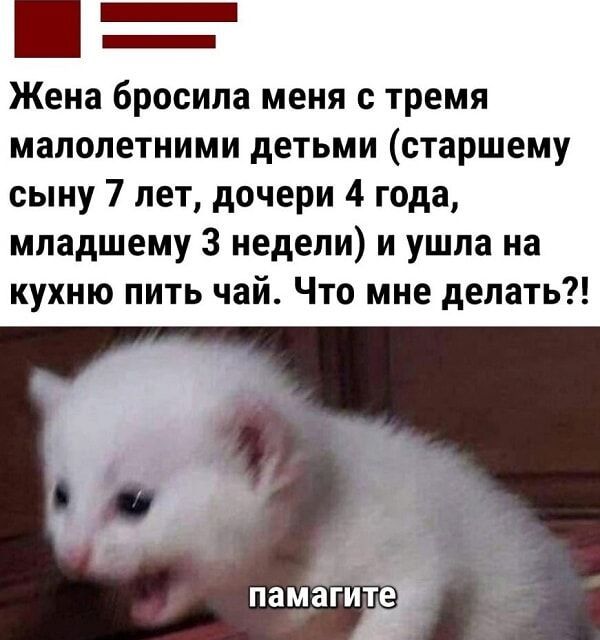Жена бросила меня с тремя малолетними детьми (старшему сыну 7 лет, дочери 4 года, младшему 3 недели) и ушла на кухню пить чай. Что мне делать?! помагите