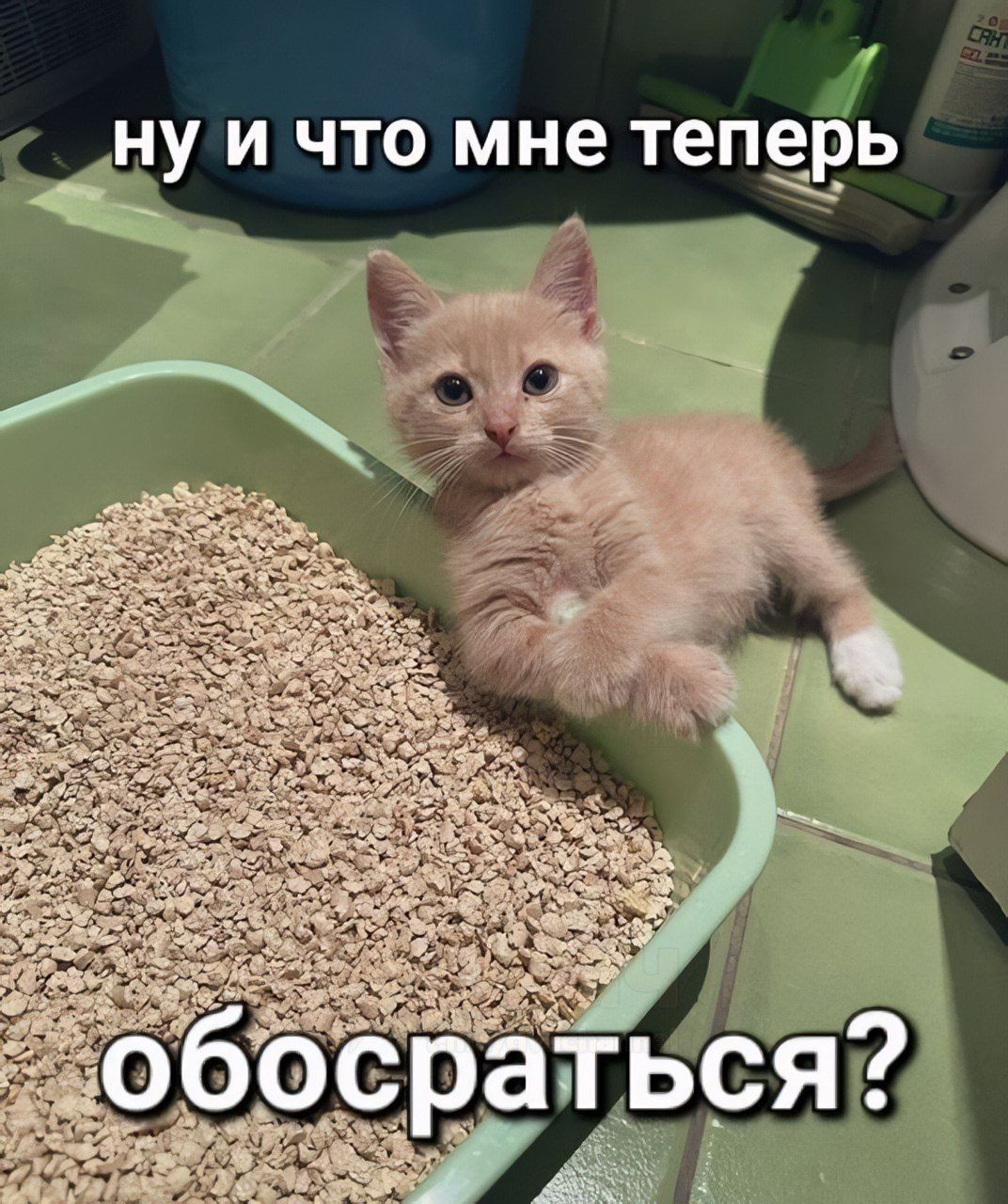 ну и что мне теперь
обосраться?