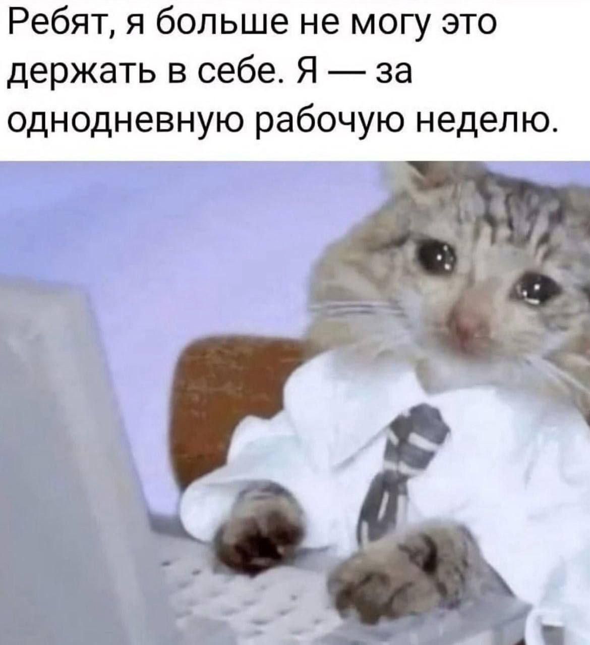 Ребят, я больше не могу это держать в себе. Я — за однодневную рабочую неделю.