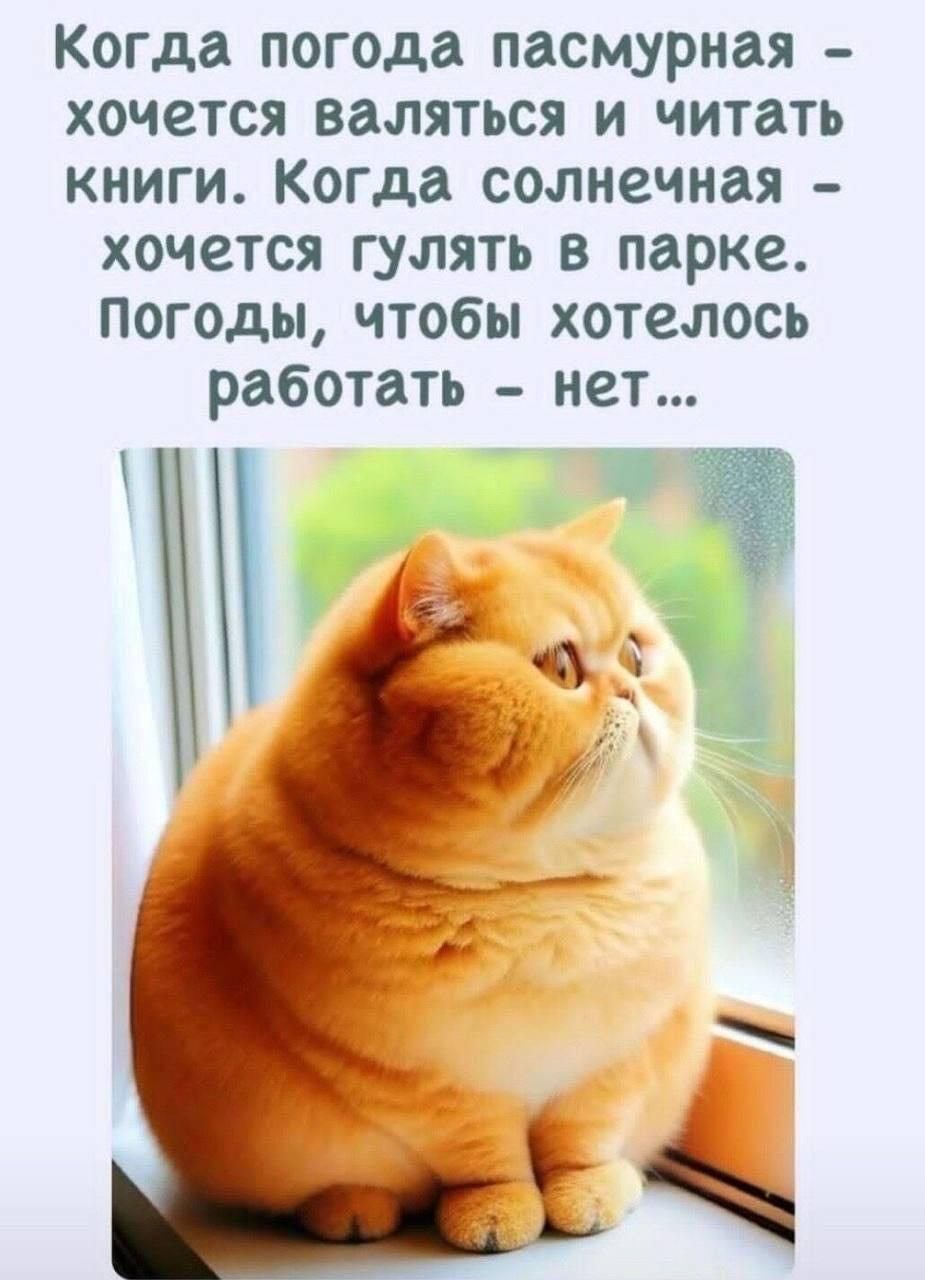 Когда погода пасмурная - хочется валяться и читать книги. Когда солнечная - хочется гулять в парке. Погоды, чтобы хотелось работать - нет...