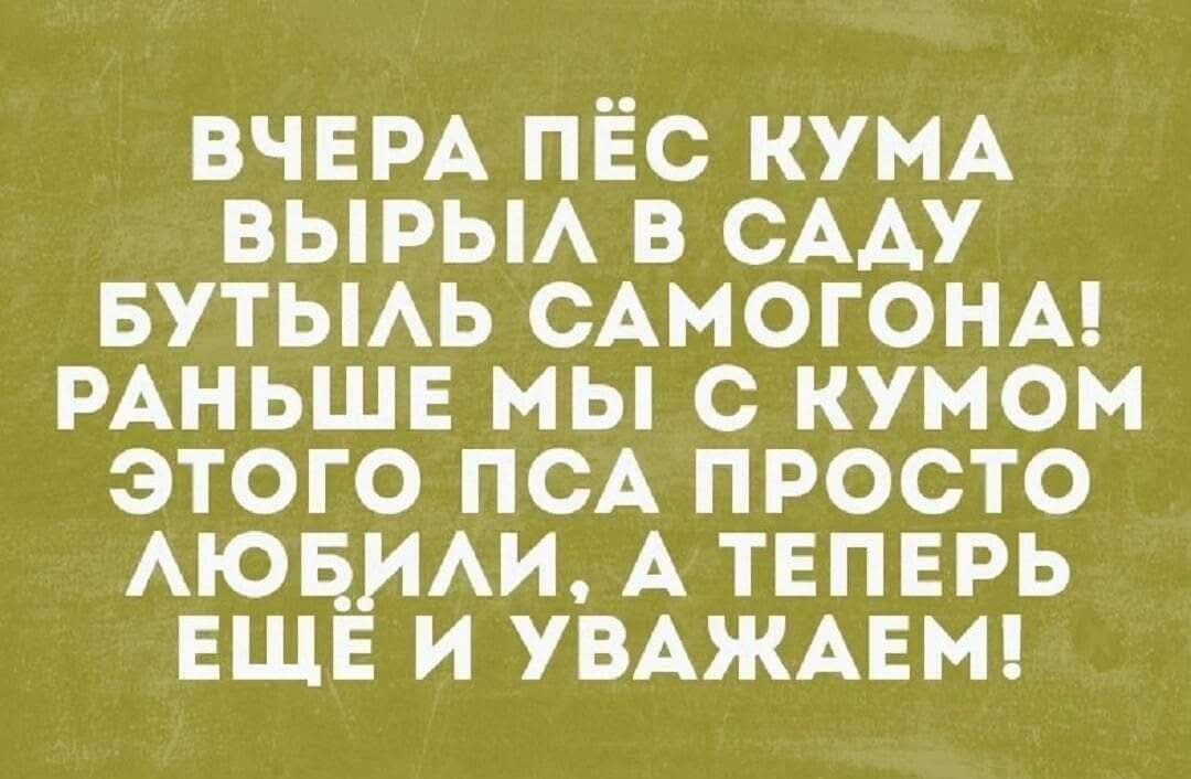 ВЧЕРА ПЁС КУМА ВЫРЫЛ В САДУ БУТЫЛЬ САМОДОНА! РАНЬШЕ МЫ С КУМОМ ЭТОГО ПАСА ПРОСТО ЛЮБИЛИ. А ТЕПЕРЬ ЕЩЁ И УВАЖАЕМ!