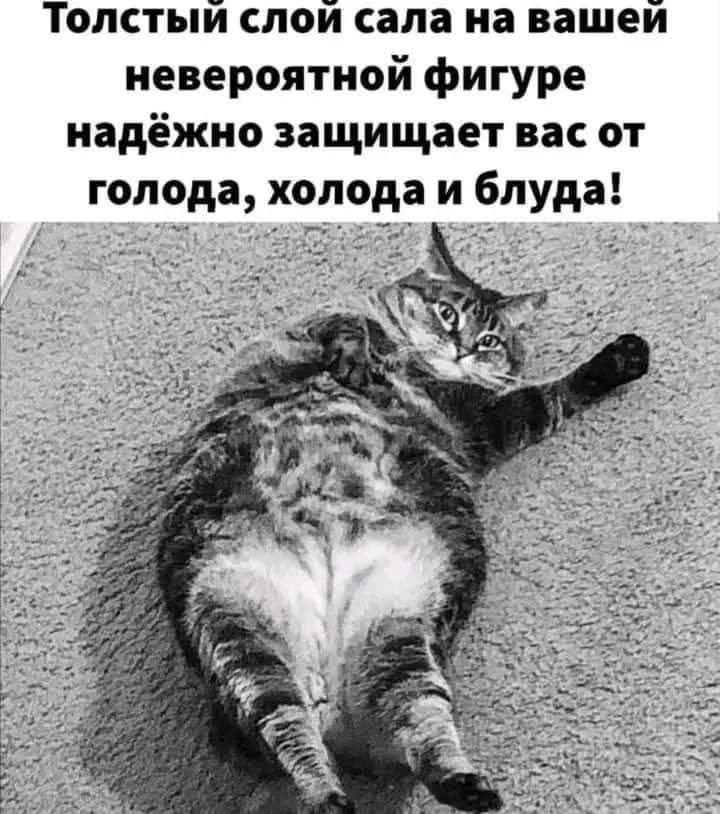 Толстый слой сала на вашей невероятной фигуре надёжно защищает вас от голода, холода и блуда!