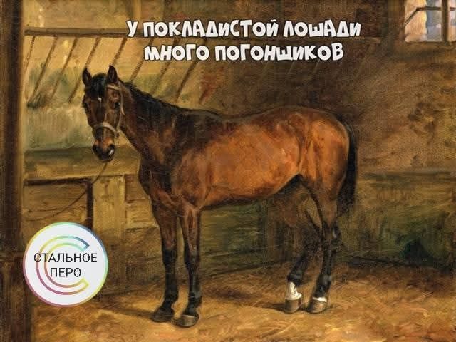 У покладистой лошади много погонщиков СТАЛЬНОЕ ПЕРО