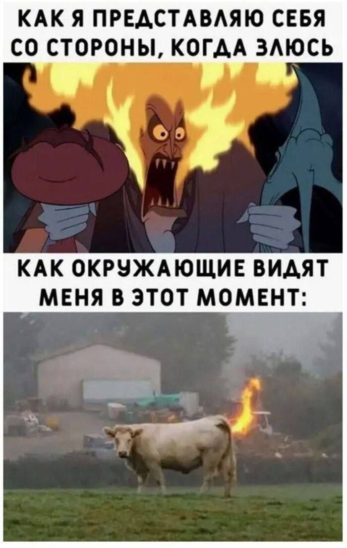 КАК Я ПРЕДСТАВАЮ СЕБЯ СО СТОРОНЫ, КОГДА ЗЛЮСЬ
КАК ОКРУЖАЮЩИЕ ВИДЯТ МЕНЯ В ЭТОТ МОМЕНТ: