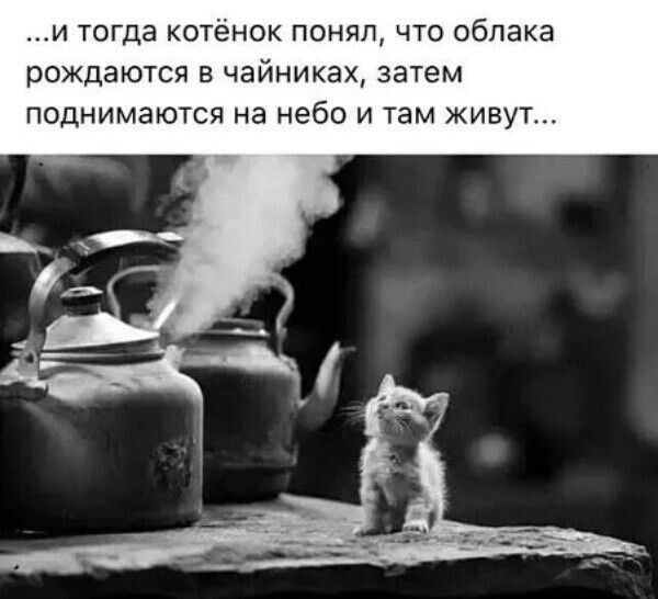 ...и тогда котёнок понял, что облака рождаются в чайниках, затем поднимаются на небо и там живут...