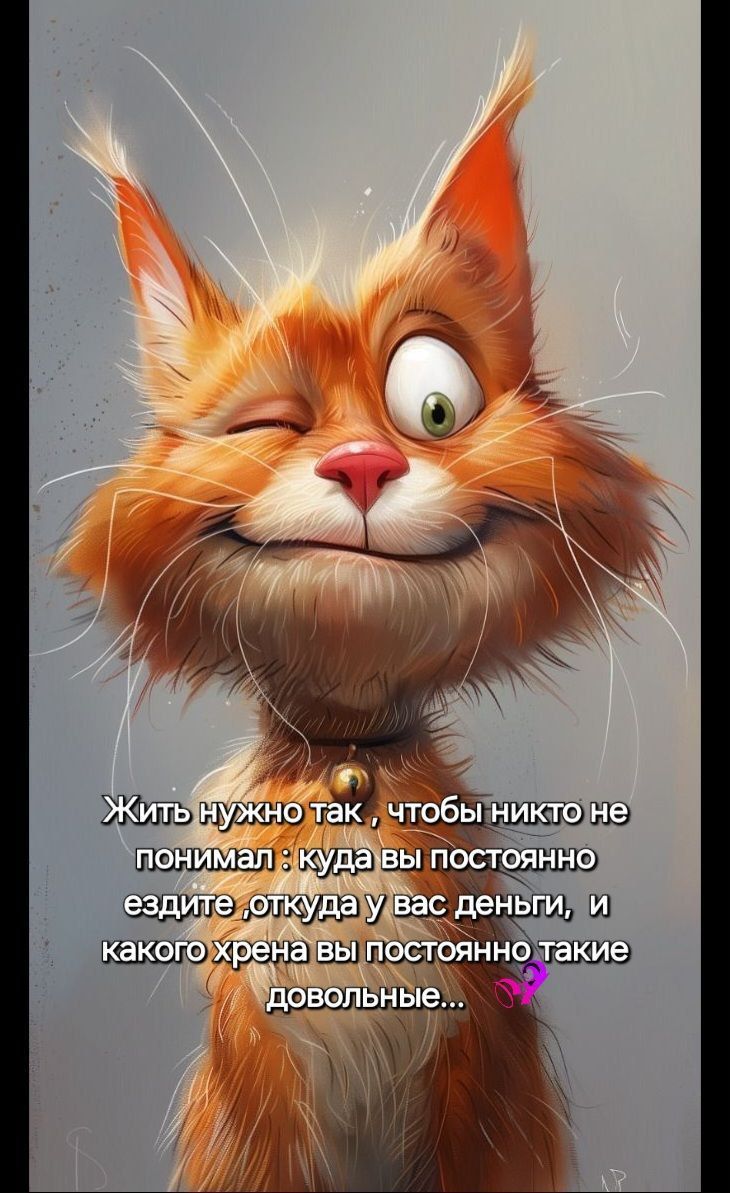 Жить нужно так , чтобы никто не понимал : куда вы постоянно ездите ,откуда у вас деньги, и какого хрена вы постоянно такие довольные...