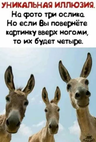 УНИКАЛЬНАЯ ИЛЛЮЗИЯ. На фото три ослика. Но если Вы повернёте картинку вверх ногами, то их будет четыре.