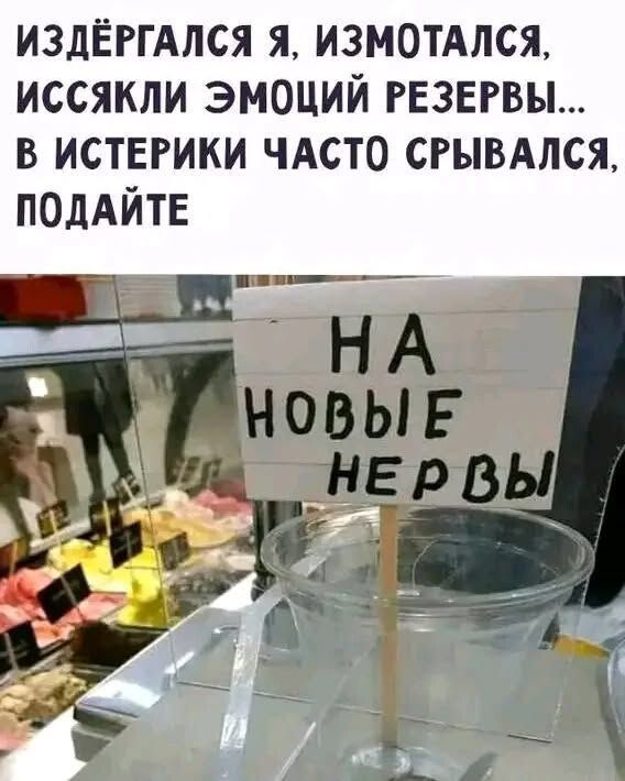 ИЗДЁРГАЛСЯ Я, ИЗМОТАЛСЯ, ИССЯККИ ЭМОЦИЙ РЕЗЕРВЫ... В ИСТЕРИКИ ЧАСТО СРЫВАЛСЯ, ПОДАЙТЕ\nНА НОВЫЕ НЕРВЫ