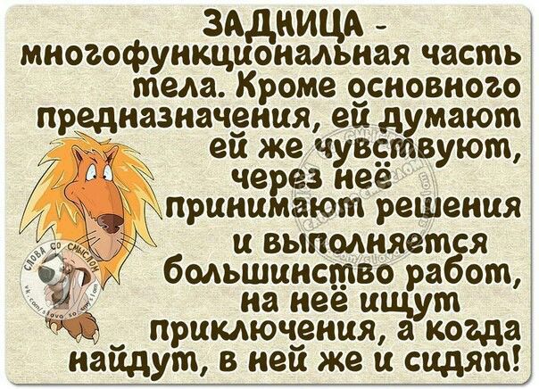 ЗАДНИЦА - многофункциональная часть тела. Кроме основного предназначения, ей думают; её же чувствуют, через неё принимают решения и выполняется большинство работ, на неё ищут приключения, а когда найдут, в неё же и сидят!