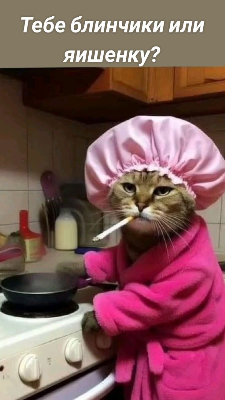 Тебе блинички или яшеньку?