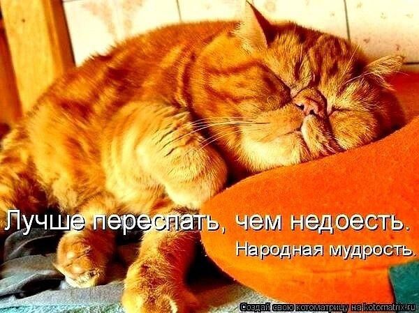 Лучше перепасть, чем недоесть. Народная мудрость.