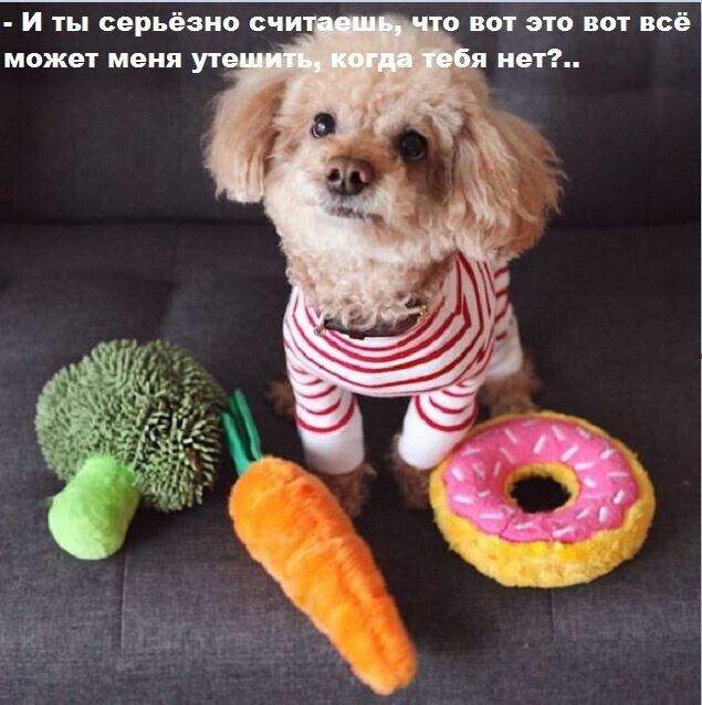 - И ты серьёзно считаешь, что вот это вот всё может меня утешить, когда тебя нет?..