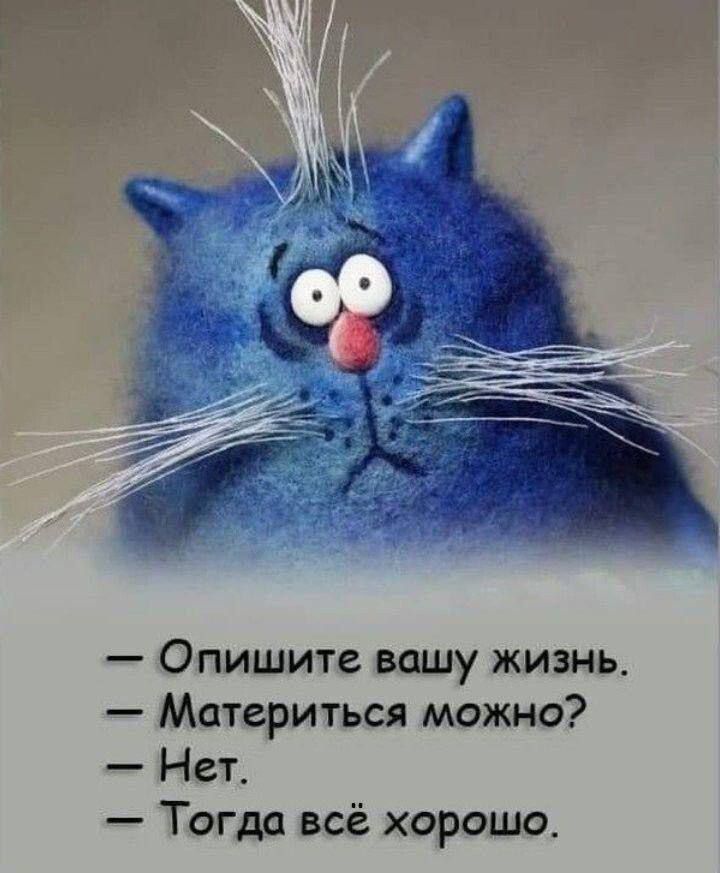 — Опишите вашу жизнь.
— Материться можно?
— Нет.
— Тогда всё хорошо.