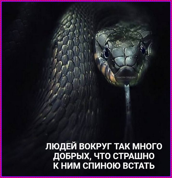 ЛЮДЕЙ ВОКРУГ ТАК МНОГО ДОБРЫХ, ЧТО СТРАШНО К НИМ СПИНОЙ ВСТАТЬ