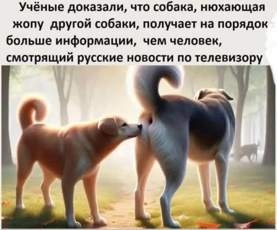 Учёные доказали, что собака, нюхающая жопу другой собаки, получает на порядок больше информации, чем человек, смотрящий русские новости по телевизору