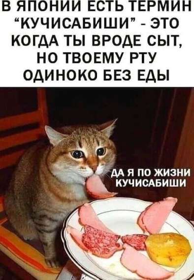 В ЯПОНИИ ЕСТЬ ТЕРМИН 'КУЧИСАБИШИ' — ЭТО КОГДА ТЫ ВРОДЕ СЫТ, НО ТВОЕМУ РТУ ОДИНОКО БЕЗ ЕДЫ
ДА Я ПО ЖИЗНИ КУЧИСАБИШИ