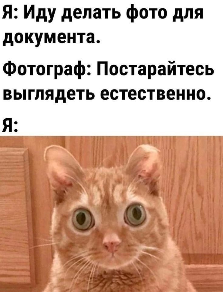 Я: Иду делать фото для документа. Фотограф: Постарайтесь выглядеть естественно. Я: