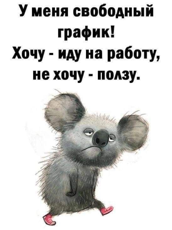 У меня свободный график! Хочу - иду на работу, не хочу - ползу.