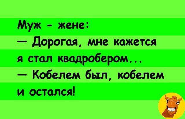 Муж - жена:
— Дорогая, мне кажется я стал квадратобером...
— Кобелем был, кобелем и остался!