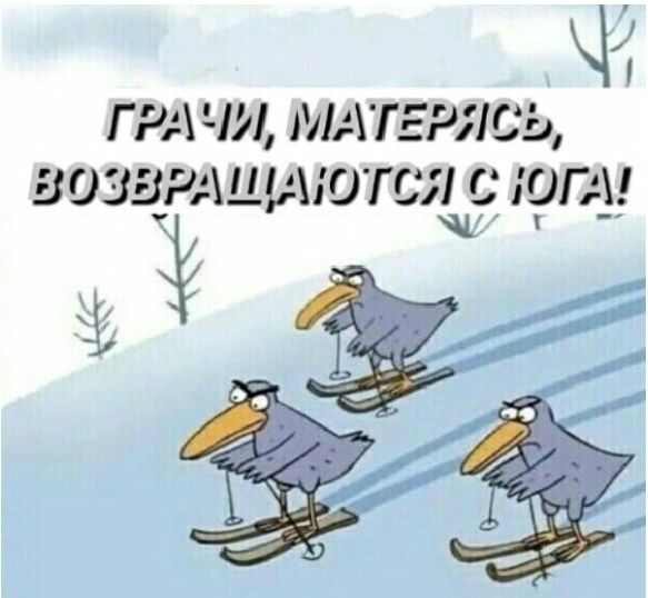 ГРАЧИ, МАТЕРЯСЬ, ВОЗВРАЩАЮТСЯ С ЮГА!