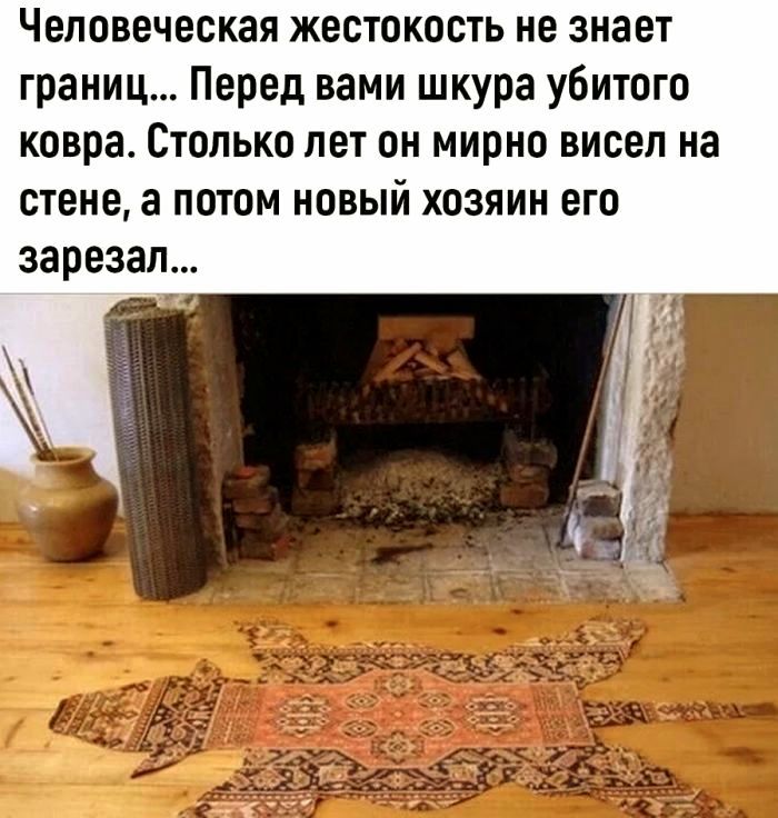 Человеческая жестокость не знает границ... Перед вами шкура убитого ковра. Столько лет он мирно висел на стене, а потом новый хозяин его зарезал...