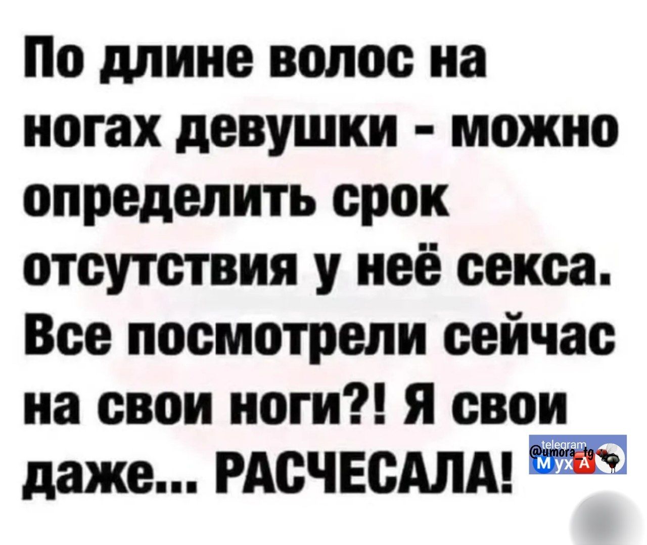 По длине волос на ногах девушки - можно определить срок отсутствия у неё секса. Все посмотрели сейчас на свои ноги?! Я свои даже... РАСЧЕСАЛА!
