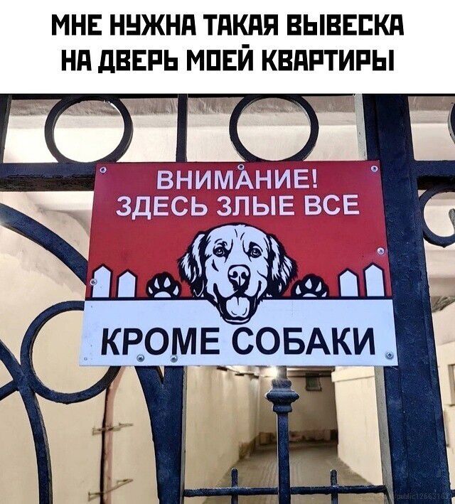 МНЕ НУЖНА ТАКАЯ ВЫВЕСКА НА ДВЕРЬ МОЕЙ КВАРТИРЫ
ВНИМАНИЕ! ЗДЕСЬ ЗЛЫЕ ВСЕ
КРОМЕ СОБАКИ