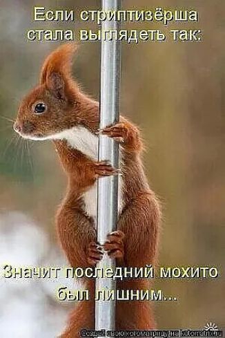 Если стриптизёрша стала выглядеть так: Значит последний мохито был лишним...