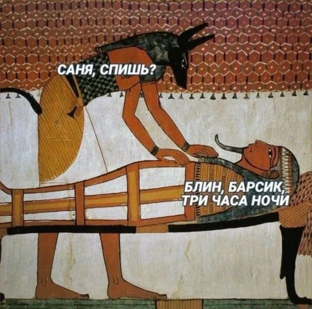 Саня, спишь?
Блин, Барсик, три часа ночи