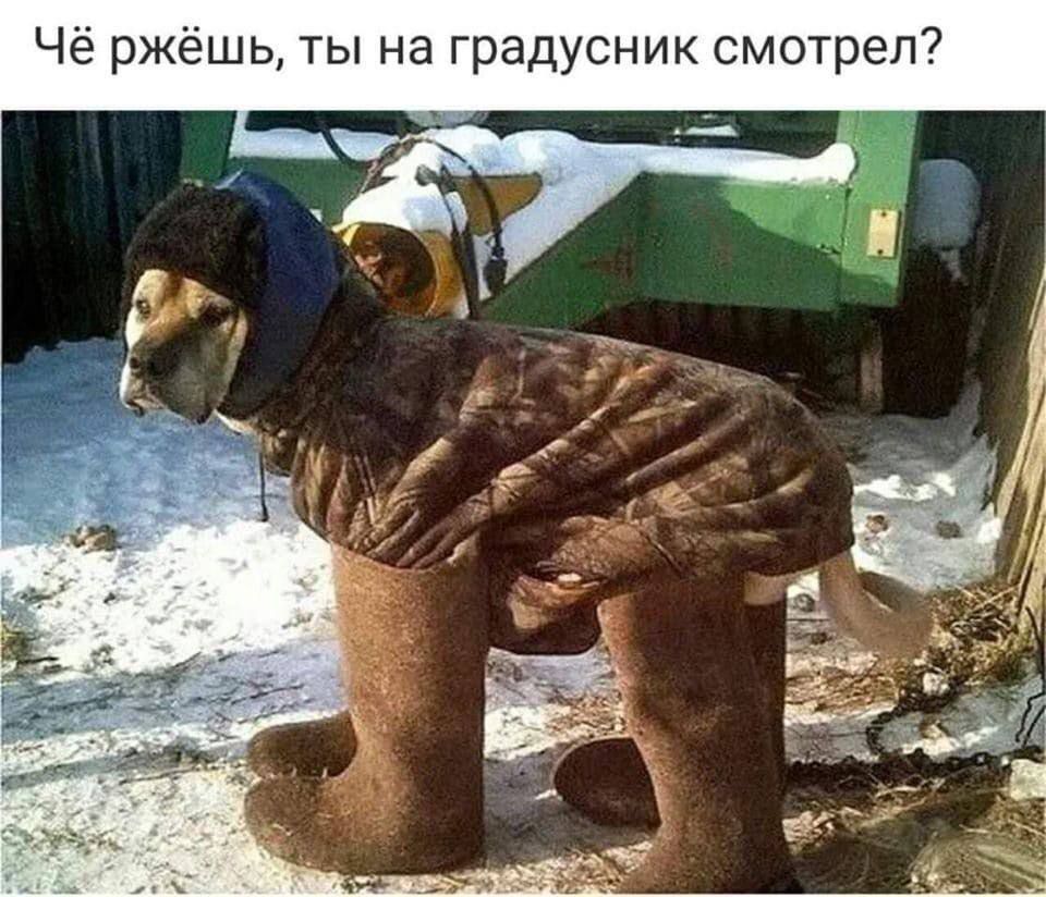 Чё ржёшь, ты на градусник смотрел?