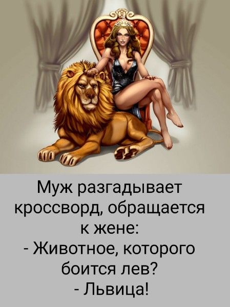 Муж разгадывает кроссворд, обращается к жене:
- Животное, которого боится лев?
- Львица!