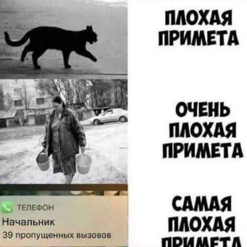 Плохая примета
Очень плохая примета
Самая плохая примета
кот идёт по улице; слева кадры: кот идёт по пустынной дороге, человек с ведрами в снегу; внизу уведомление телефона: Начальник 39 пропущенных вызовов