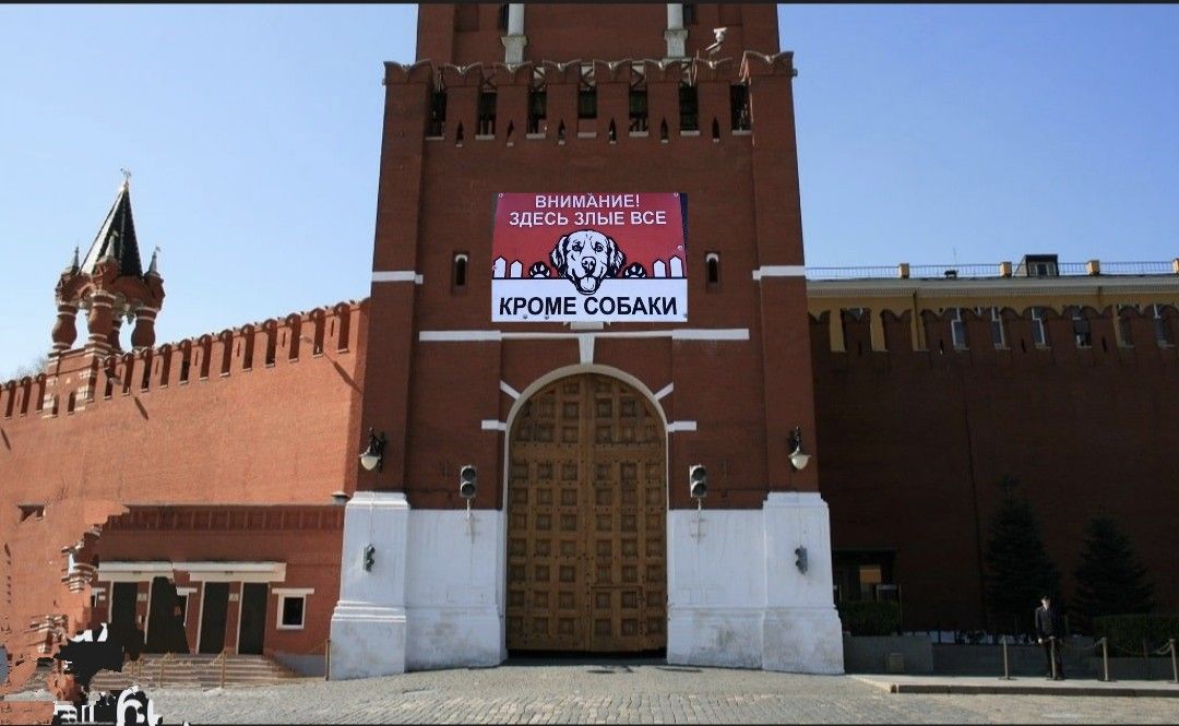 ВНИМАНИЕ! ЗДЕСЬ ВСЕ ЗЛЫЕ! КРОМЕ СОБАКИ